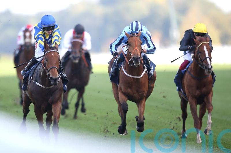 Ellison backing Tashkhan to thrive on ParisLongchamp ground