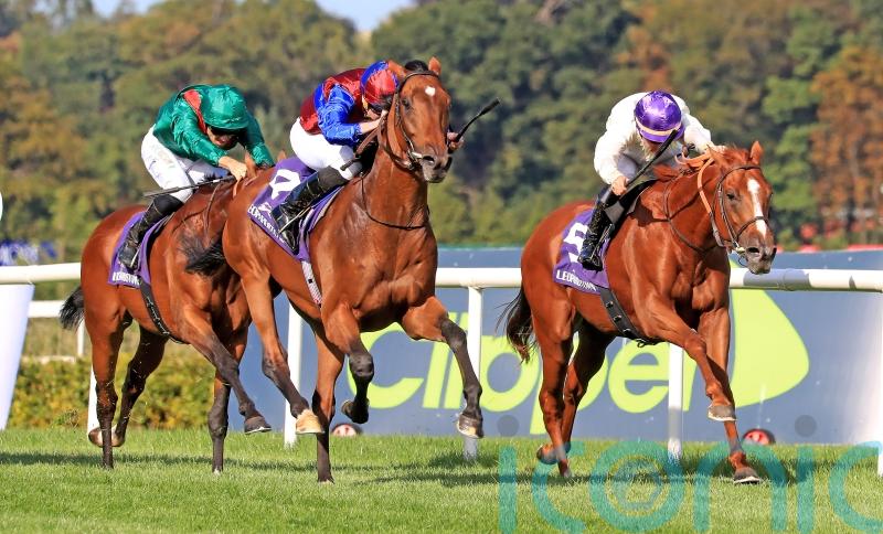 Luxembourg drawn in stall eight as 20 tackle Arc challenge