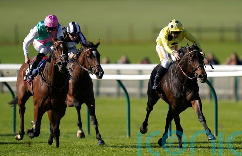 Fonteyn success no surprise to Ryan