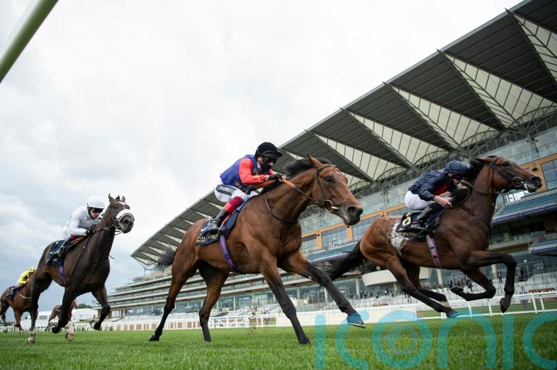 First Receiver carries the King’s colours to victory at the Horse of the Year Show