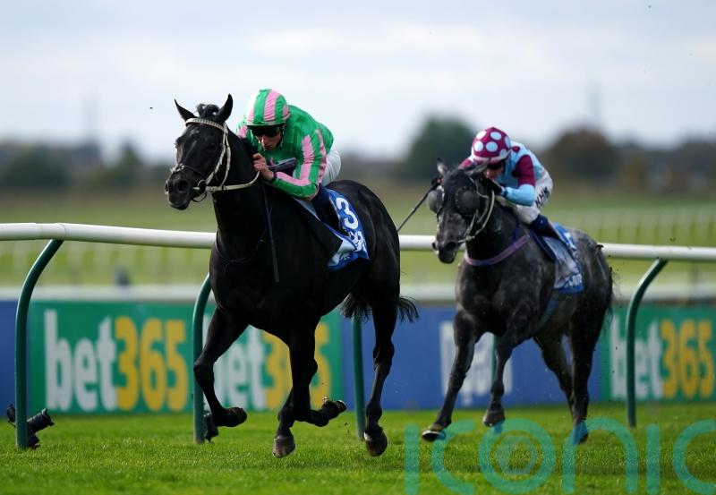 Pogo is Breeders’ Cup-bound after rising to Newmarket challenge