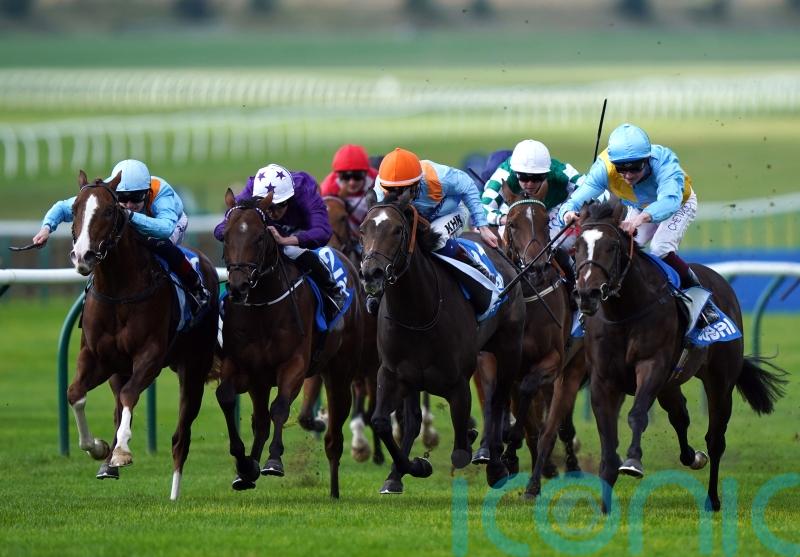 Rumstar keeps Portman’s perfect Cornwallis record intact