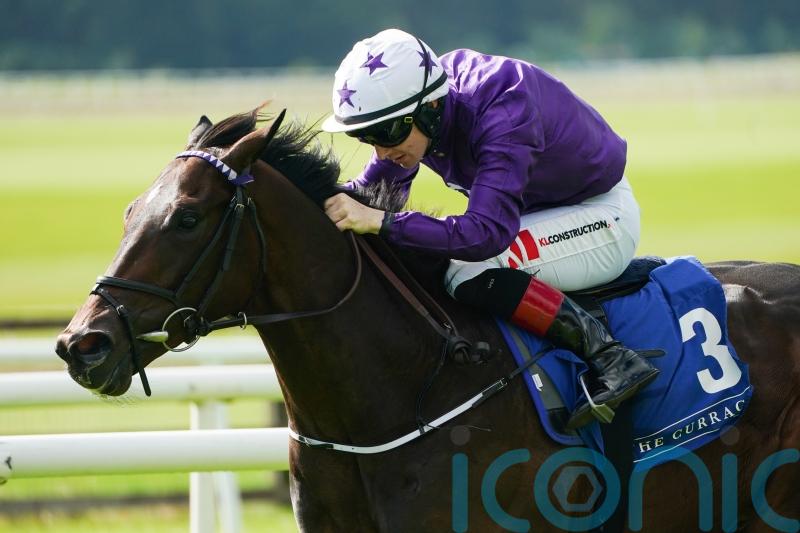 Crypto Force could be one to hit Group One mark for Amo Racing