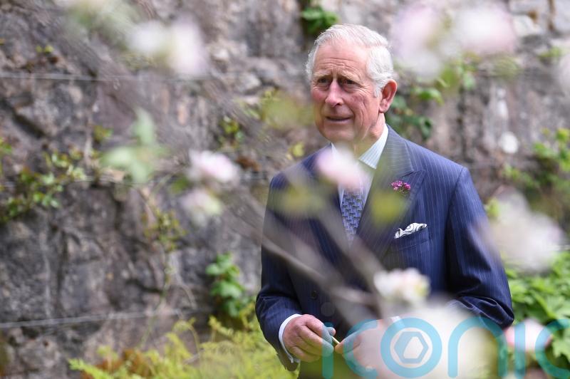King’s ‘immense sadness’ at ‘appallingly tragic’ Creeslough disaster