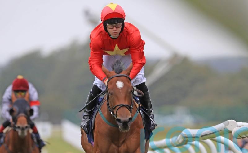 Breeders’ Cup would put icing on top of landmark season for John Quinn