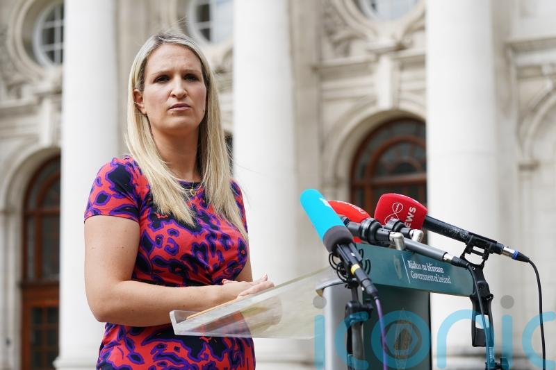 For too long we have accepted ‘stark’ domestic violence figures – McEntee