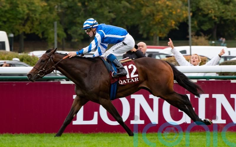Blue Rose Cen poised to put Head name in lights again at the Breeders’ Cup