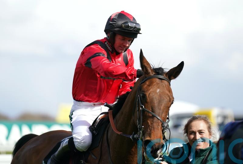 Ahoy Senor on course to return in Charlie Hall this weekend