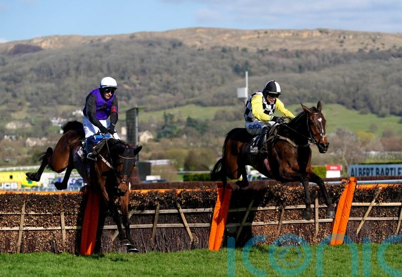 ‘Big disappointment’ for Mullins, as The Nice Guy ruled out for the season