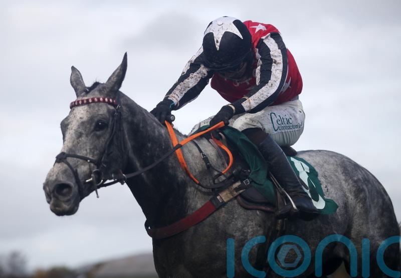 Lewis considering plans for stable star Straw Fan Jack