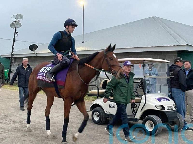 Highfield Princess limbering up Breeders’ Cup challenge