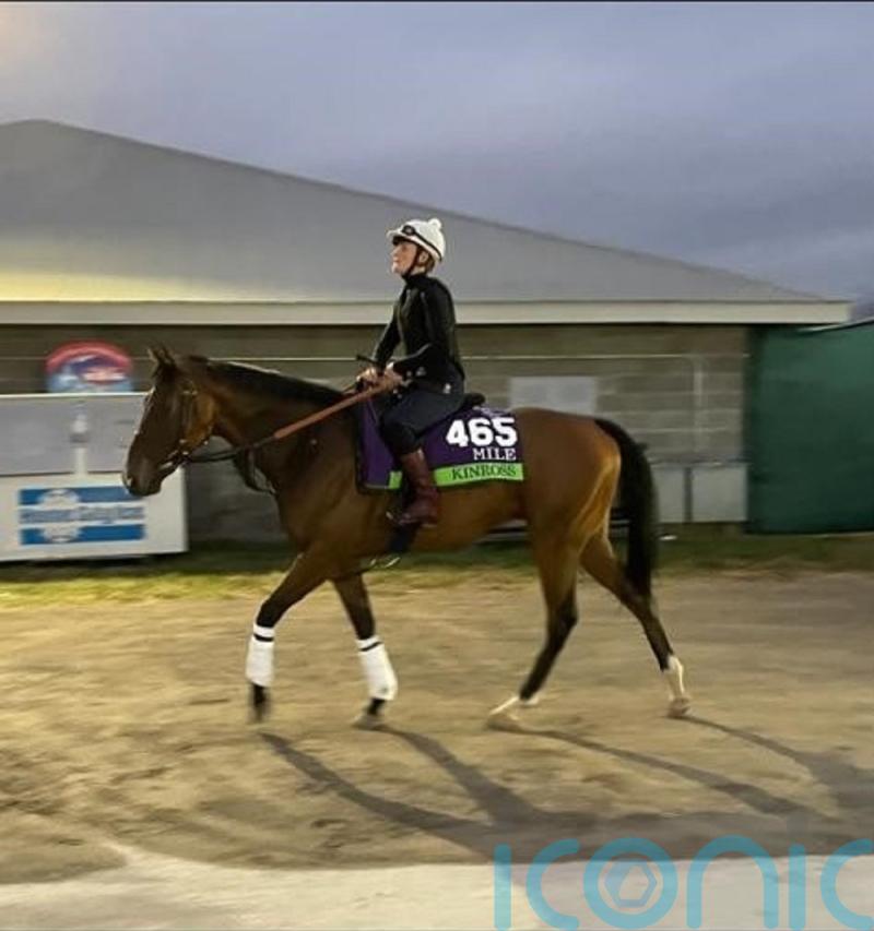 Kinross in good shape, but draw is &lsquo;pain&rsquo; concedes Beckett