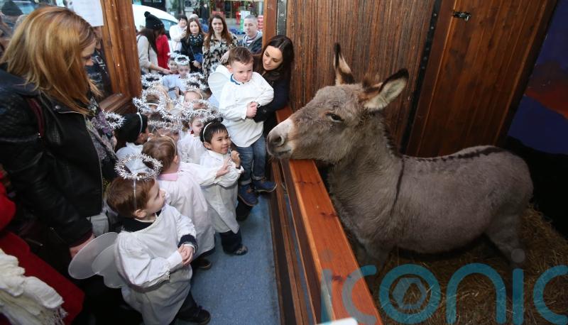 Call for common sense to prevail in row over Dublin’s live animal crib