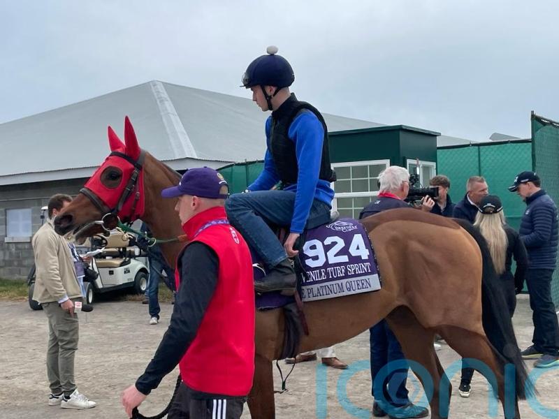 Middleham Park savouring ‘chance of a lifetime’ with The Platinum Queen