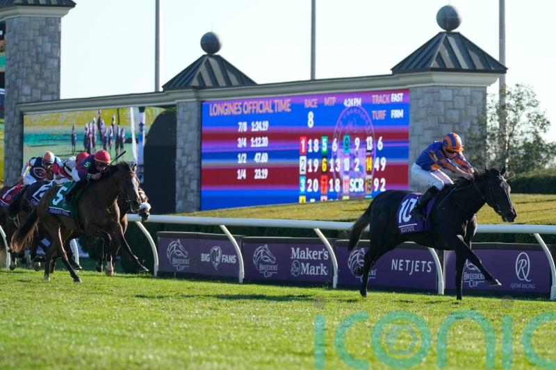Meditate impresses with cosy Breeders’ Cup success
