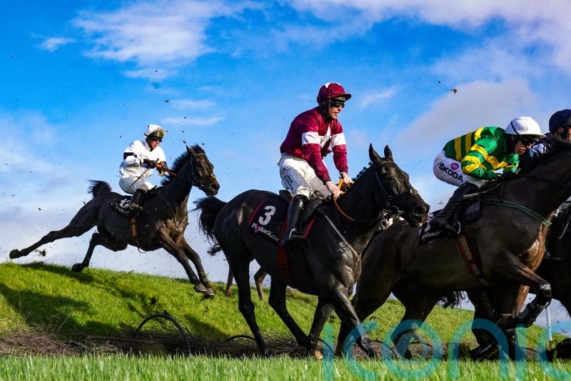 Delta made to work for Punchestown win