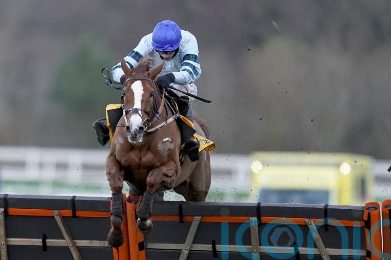 Not So Sleepy ready to take on Henderson big guns at Newcastle