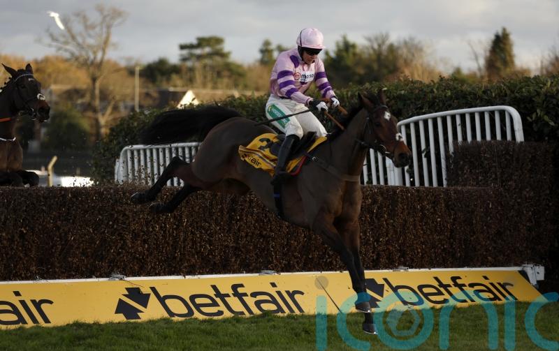 Nicholls sweet on Greaneteen’s Tingle Creek chance