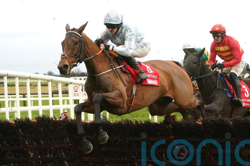 Irish Champion Hurdle date remains on Honeysuckle agenda