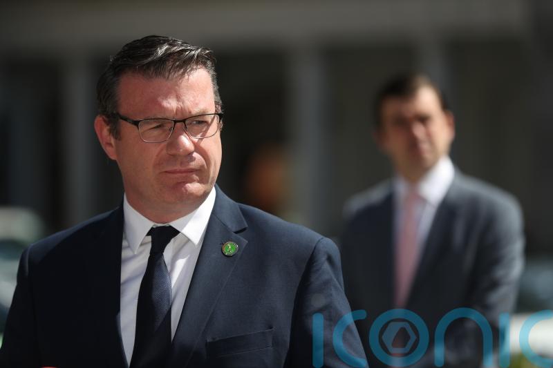 Mandatory disclosure Bill ‘does not pass Vicky Phelan test’, Dail told