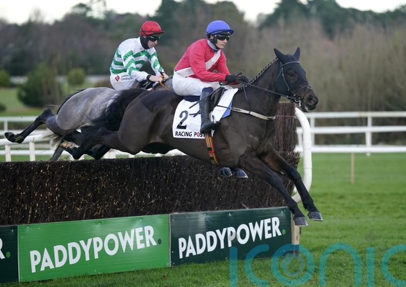 Ferny Hollow suffers season-ending tendon injury