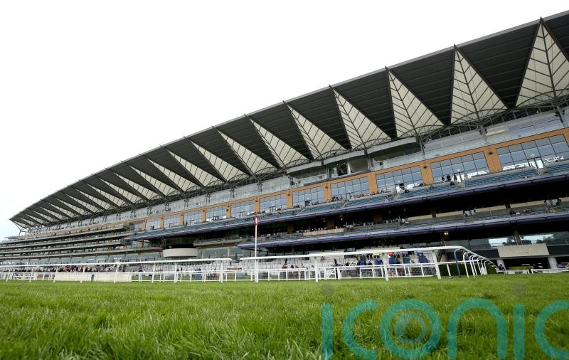Inspection called ahead of Ascot&rsquo;s Friday card
