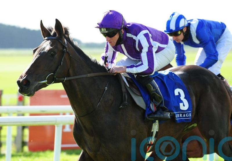 High Definition poised for Boxing Day hurdles bow