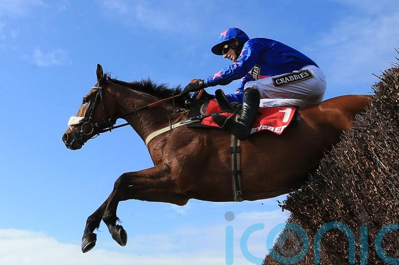 Magical Cue Card was one of jumping’s brightest stars
