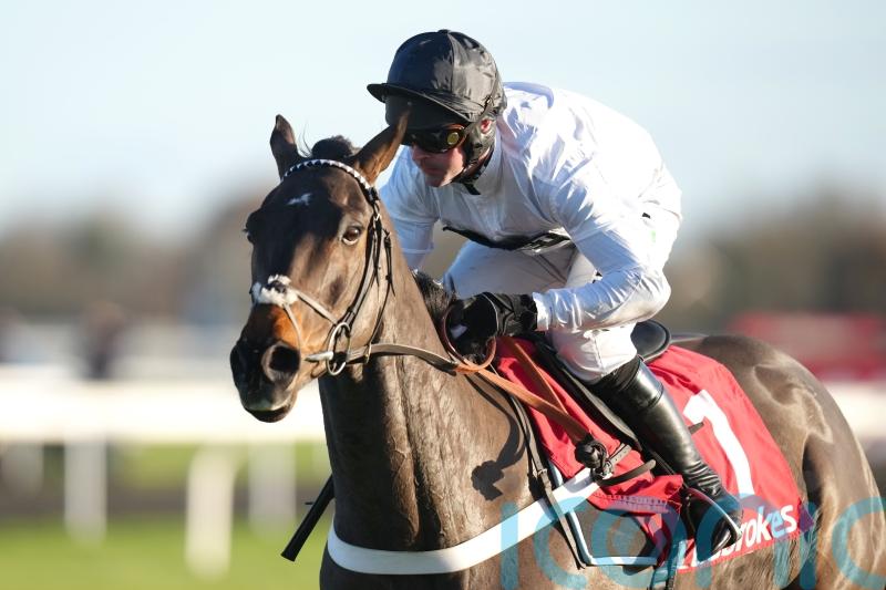 Christmas Hurdle proves cruise control for Constitution Hill