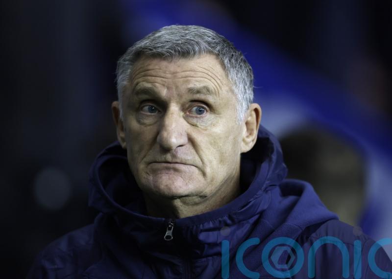 Tony Mowbray stays grounded after Sunderland&rsquo;s thumping win at Wigan