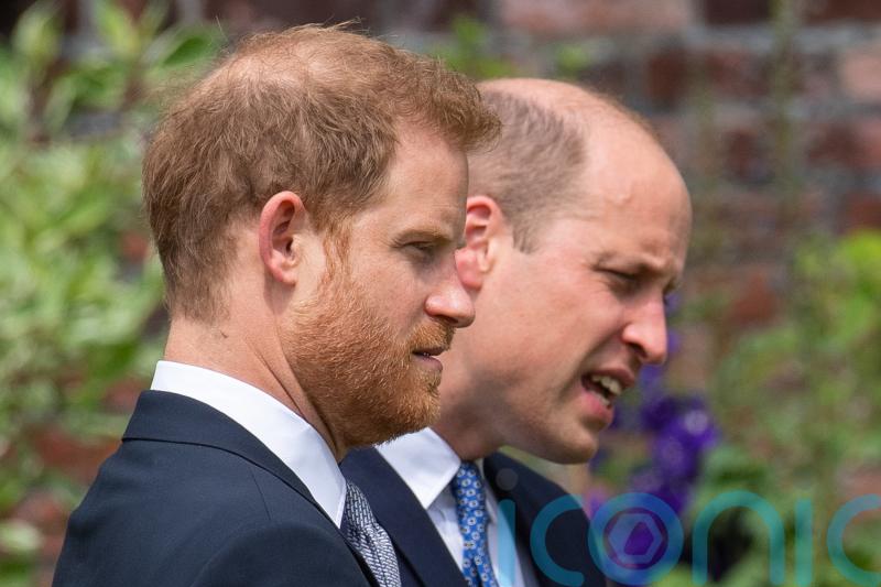 Prince Harry claims brother encouraged him to dress as Nazi for 2005 fancy dress party