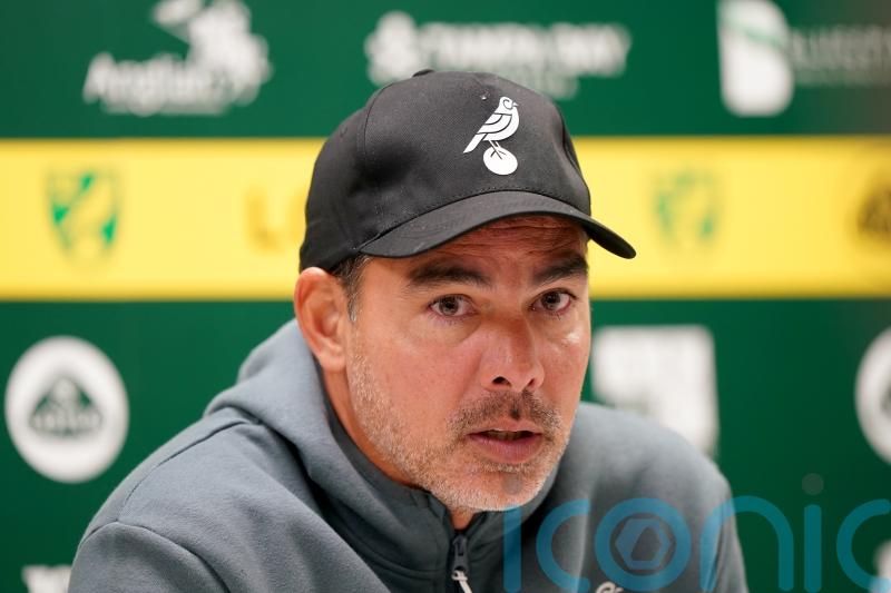Future looks good for Norwich despite FA Cup loss – David Wagner