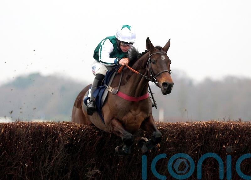 L’Homme Presse ruled out of Cheltenham Gold Cup