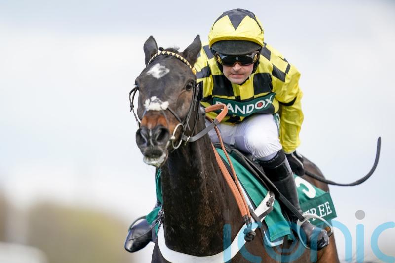 Shishkin ‘back in action’ and pencilled in for Ascot Chase return