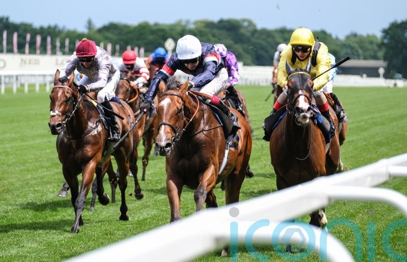 Sir Busker handed Neom Turf Cup target