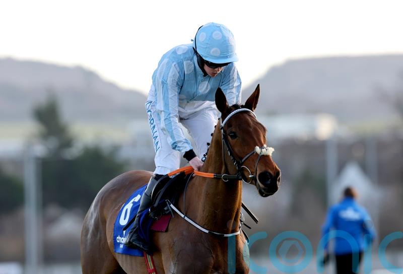 Mares’ Hurdle or retirement for Honeysuckle, but no Champion Hurdle
