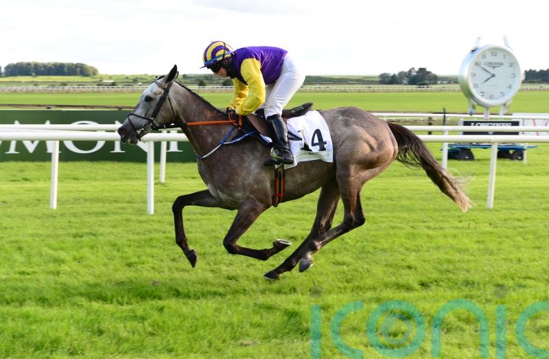 Mullins favouring Mares’ assignment for Princess Zoe