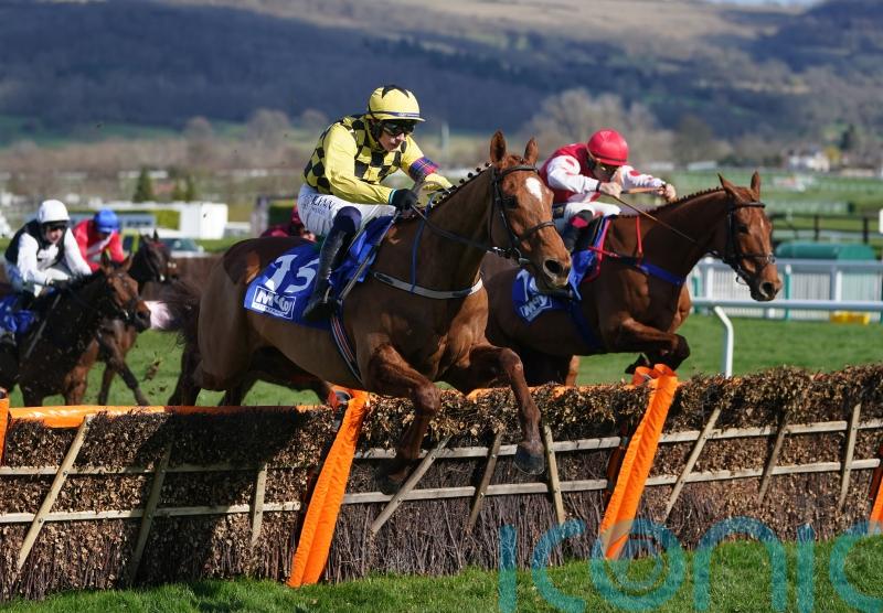 Colonel Mustard rethink after Newbury outing scuppered by ground