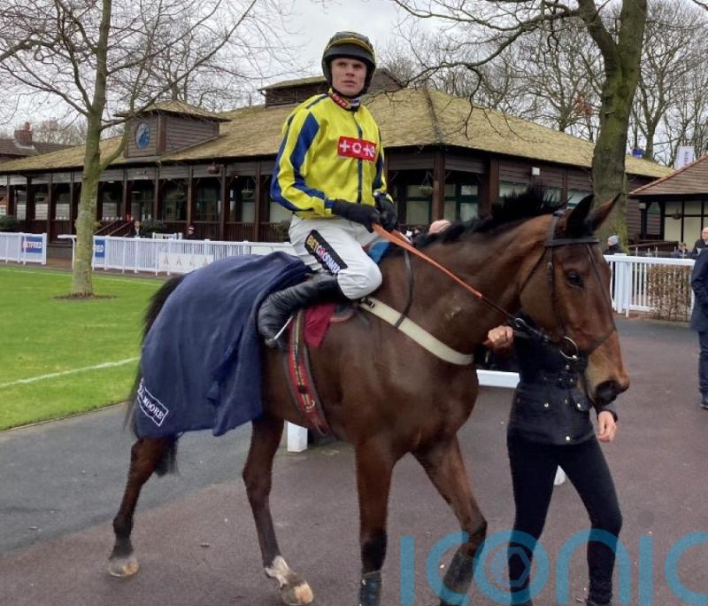 Bo Zenith cut for Triumph after Haydock strike