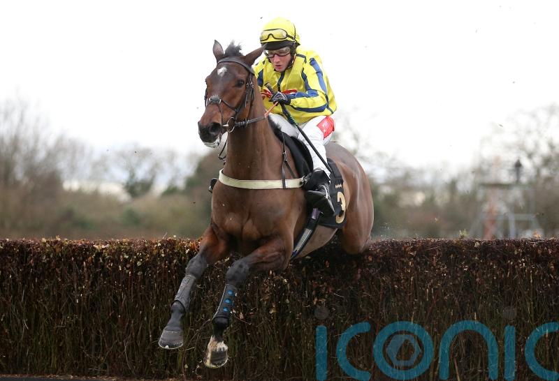 Haddex Des Obeaux will miss Arkle through setback
