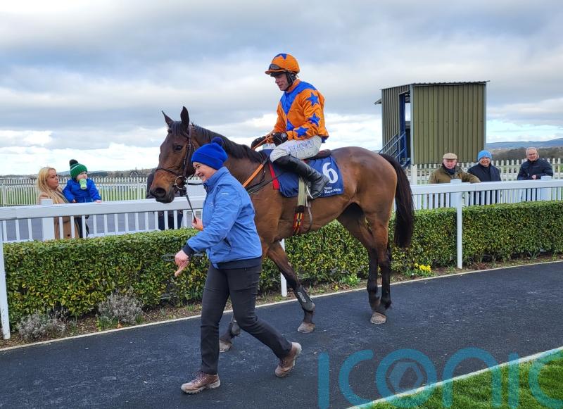 Rebel strikes Newlands Gold at Naas