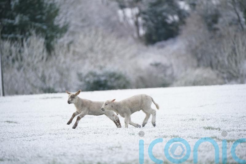 More snow and ice through the week as Arctic blast hits UK, Met Office says