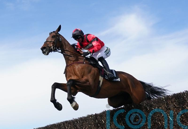 Scudamore confident of Senor’s Gold Cup credentials