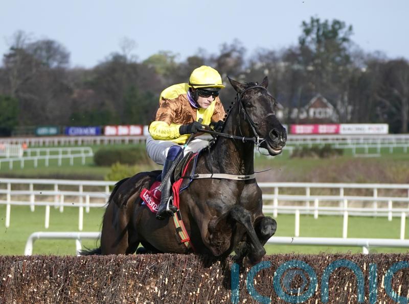Galopin Des Champs tops Gold Cup field