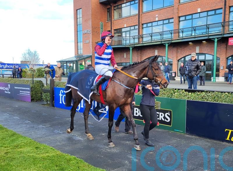 ‘All systems go’ – Three Card Brag an ace to play for Elliott in Albert Bartlett
