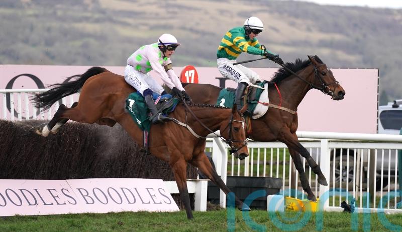 Colm Murphy back in Cheltenham winner’s enclosure with Impervious