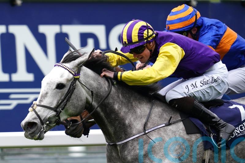 Princess Zoe poised for Easter assignment at Fairyhouse