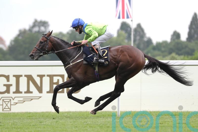 Subjectivist on retrieval mission in Dubai Gold Cup