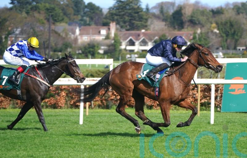 Story stakes Guineas claim with Leopardstown Trial triumph