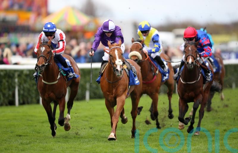Brisland plotting Royal Ascot route for Doddie’s Impact